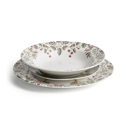 30976949 Winter Forest 12pc dinner set £25
