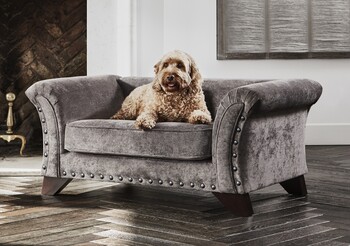 https://www.prshots.es/contents/archives/194/254/images/thumb350x287_auto/furniture_village_furniture-village-holly-fabric-pet-bed-with-st_74115_thumb.jpg