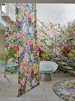 GRANDIFLORA ROSE COLLECTION