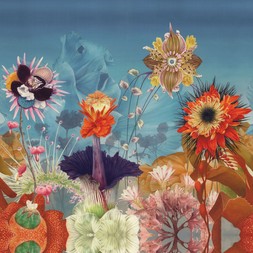 CL SS24 WALLPAPER FLATSHOTS