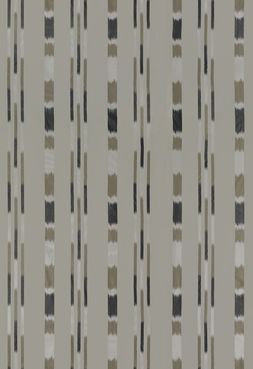PACHRA_FDG3013_01