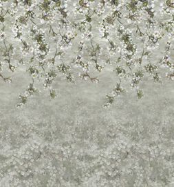 ASSAM BLOSSOM_PLATINUM_PDG1133_01
