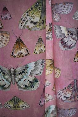 JARDIN DES PLANTES COLLECTION
