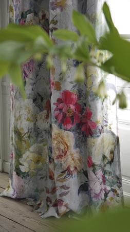 JARDIN DES PLANTES COLLECTION
