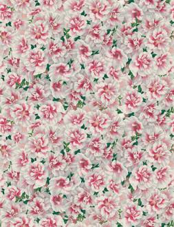 VARIEGATED AZALEA - AZALEA