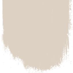 PALE ASH 12