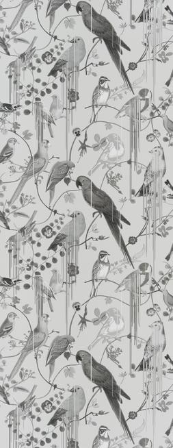 BIRDS SINFONIA - GRAPHITE