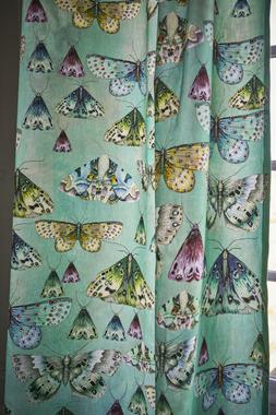 JARDIN DES PLANTES COLLECTION