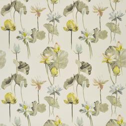 FLEUR DE LOTUS - BIRCH