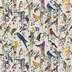 BIRDS SINFONIA - JONC