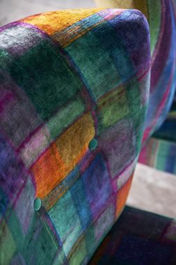 TULIPA STELLATA COLLECTION