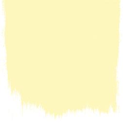 CUSTARD CREAM 117