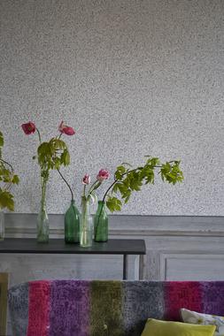 TULIPA STELLATA COLLECTION