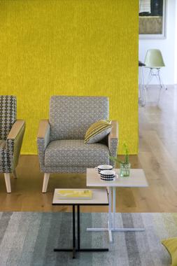 TULIPA STELLATA COLLECTION