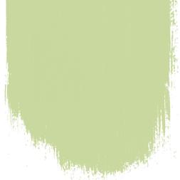 GREEN MELON 102