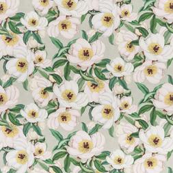 PAEONIA ALBIFLORA - CELADON
