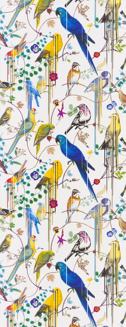 BIRDS SINFONIA - PERCE-NEIGE