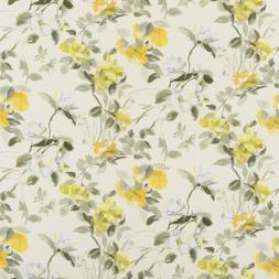 LISSE - BUTTERMILK