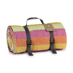 50080880 £48 Refresher Stripe Rug