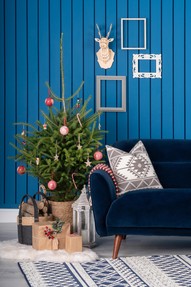 https://www.prshots.es/contents/archives/2441/1193/images/thumb350x287_auto/michael_murphy_home_furnishing_dsc07949_thumb.jpg