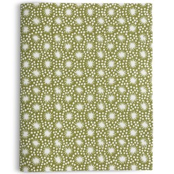 Slim Exercise Book Animalcules Bawden Green