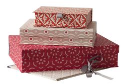 Pink and Red Box Files
