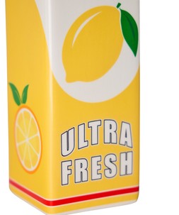 Citrus Carton Vase £25