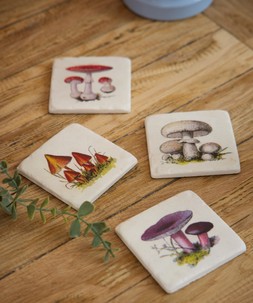 Cottage Mushrooms Pack Of 4 Coasters £15