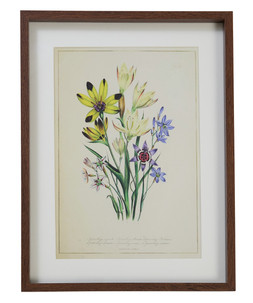 Fresh Flowers Framed Prints Set Of 3 £35