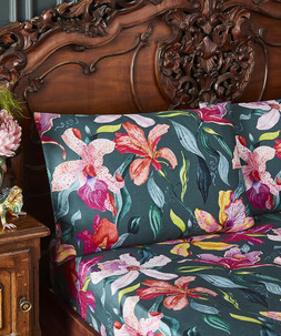 Orchid Oasis Cotton Sateen Matching Bedding £15- £35