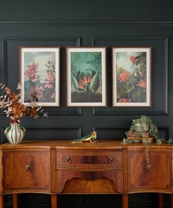 Tropical Floral Framed Prints Set Of 3 £75