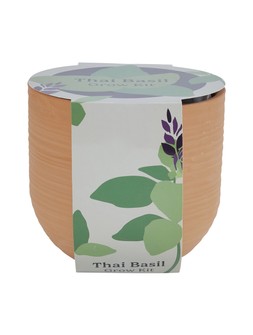 TK Maxx - Thai Basil Grow Kit - &euro;12.99