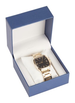 TK Maxx Gold metal watch €22.99 (RRP €179.99)