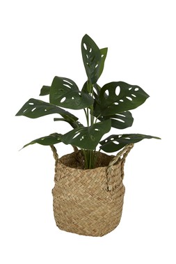 TK Maxx fake plant &euro;17.99