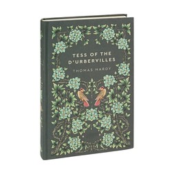 TK Maxx Kintentional Book Tess Of TheD'Urbervilles Thomas Hardy €11.99