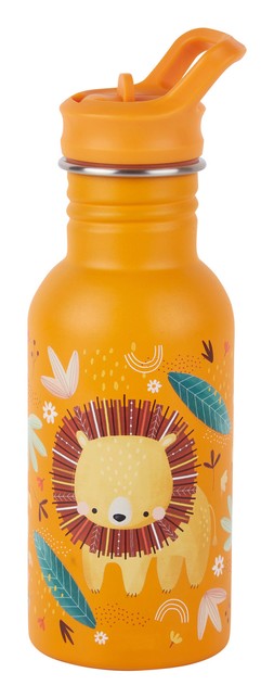 TK Maxx lion water bottle €10.99 RRP €22.90