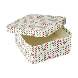 TK Maxx Scandi Candy Cane Large Square Box €6.49