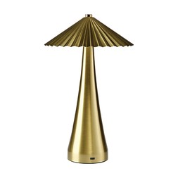 TK Maxx Scandi Gold Metal Rechargable Table Lamp €19.99