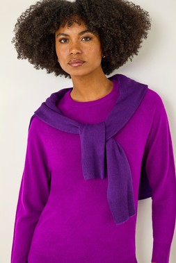 Roman Magenta Plain Soft Crew Neck Jumper
