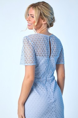 Roman Petite Blue Lace Short Sleeve Dress