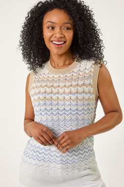Roman Petite Chevron Stripe Knit Vest