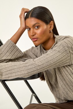 Roman High Neck Ribbed Snit Top
