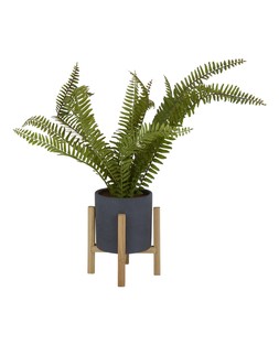 TK Maxx - fake plant &pound;14.99 (RRP &pound;XX)