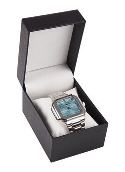 TK Maxx watch £16.99 (RRP £)