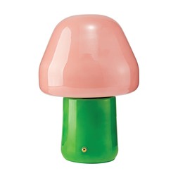 Colourful Green&PinkGlassRechargableMushroomLamp £16.99