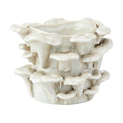 Scandi GreyOystersmushroomsVase £16.99