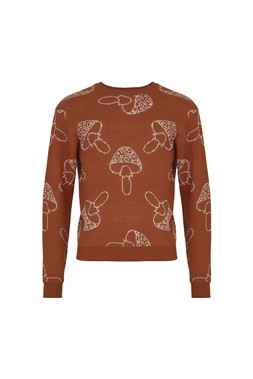 TK Maxx Men Mushroom Orange Jumper £19.99 17982