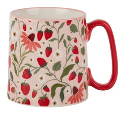 TK Maxx strawberry mug £4.99
