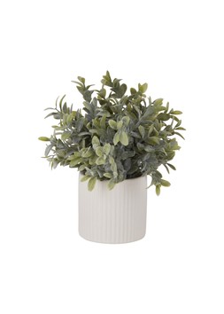 TK Maxx fake plant £5.99 (RRP £)