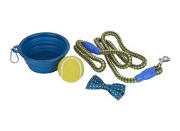 Homesense - dog starter kit &pound;7.99 (RRP &pound;XX)